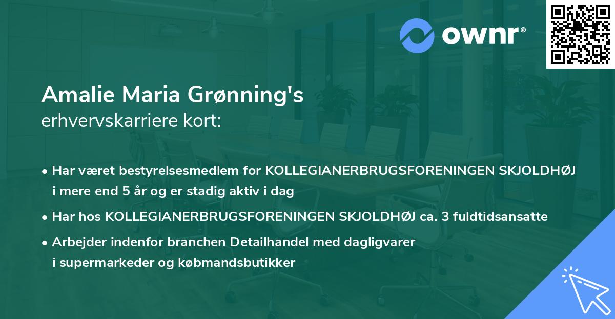 Amalie Maria Grønning's erhvervskarriere kort