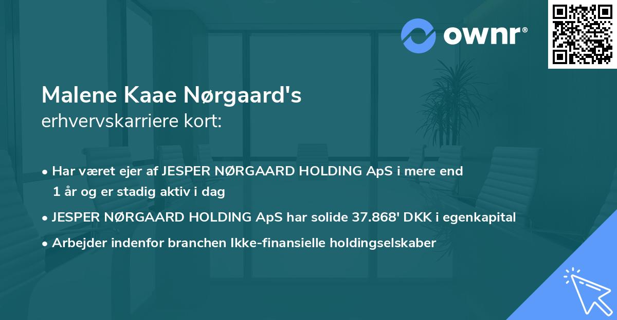 Malene Kaae Nørgaard's erhvervskarriere kort