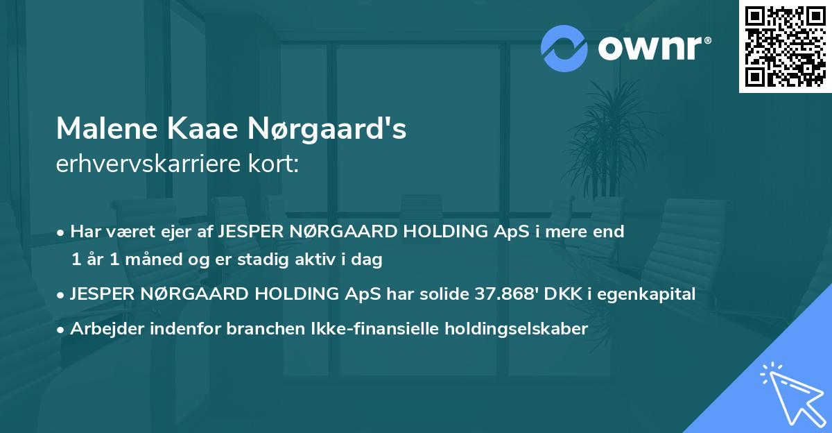 Malene Kaae Nørgaard's erhvervskarriere kort