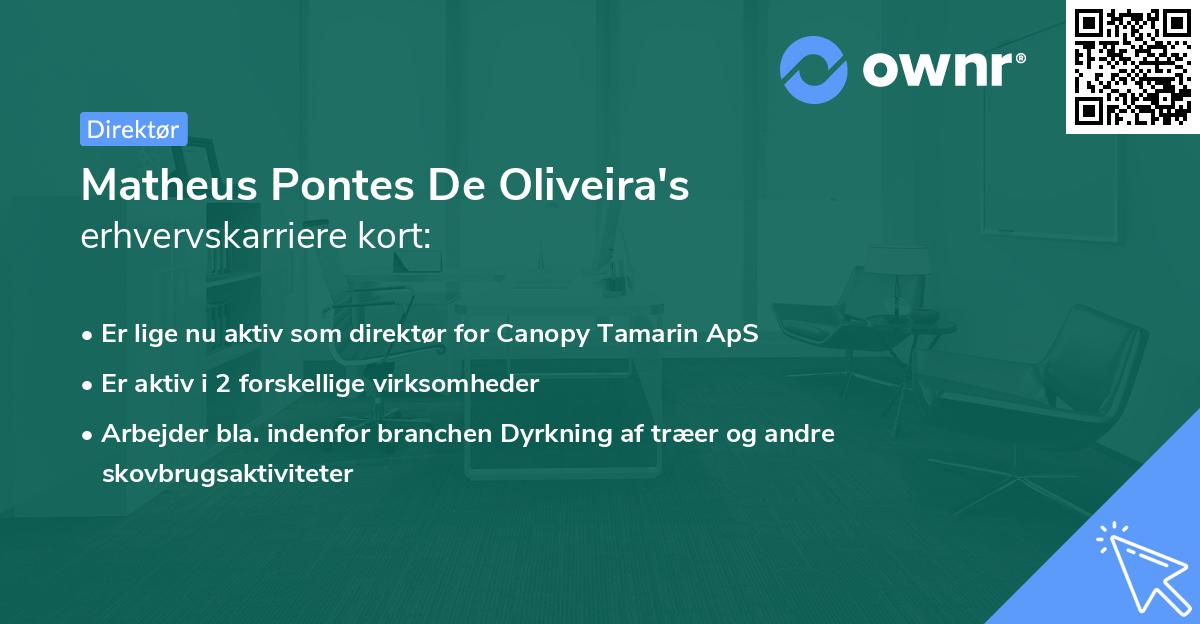Matheus Pontes De Oliveira's erhvervskarriere kort