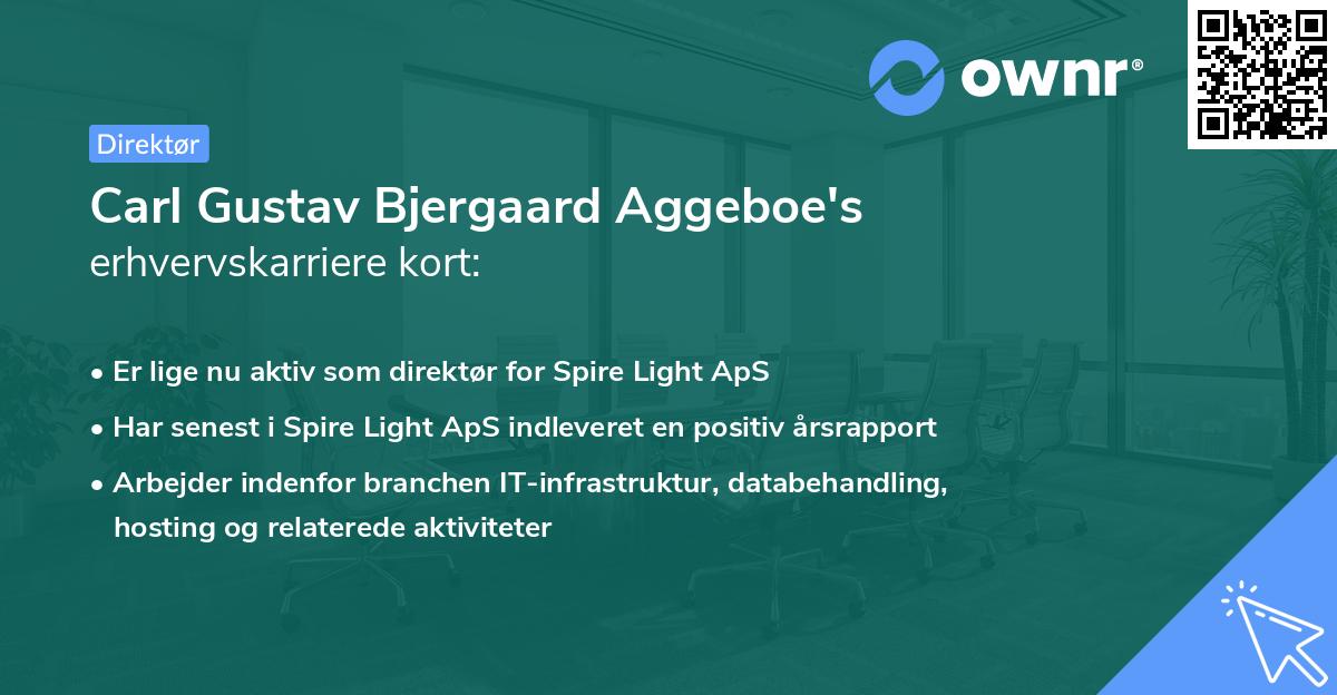 Carl Gustav Bjergaard Aggeboe's erhvervskarriere kort