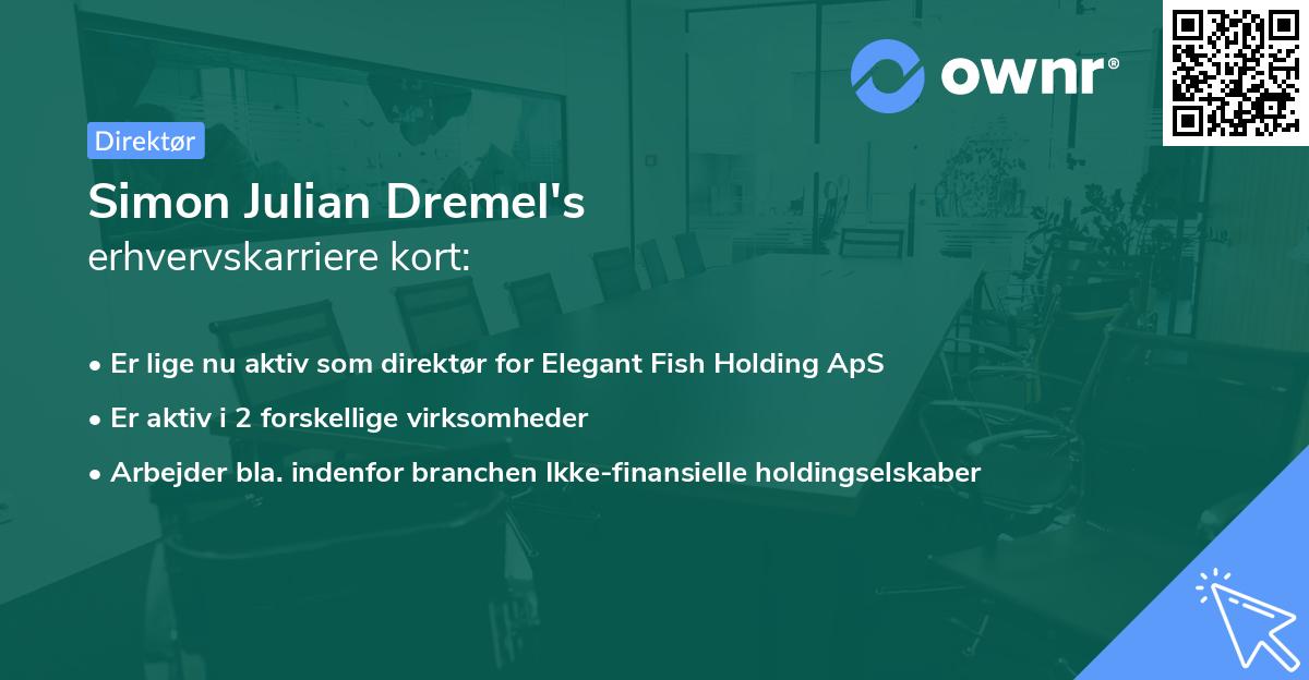 Simon Julian Dremel's erhvervskarriere kort