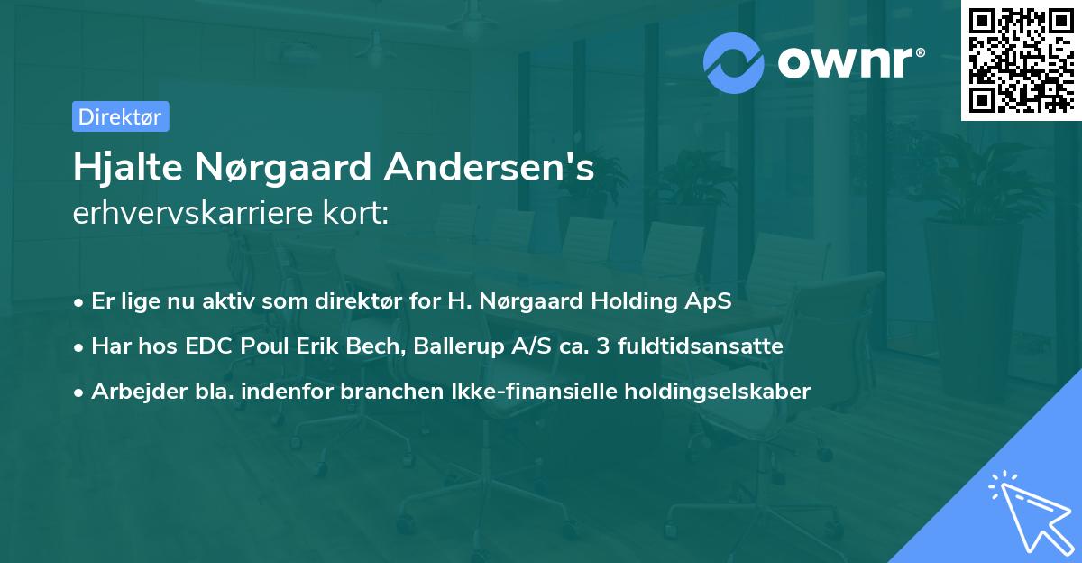 Hjalte Nørgaard Andersen's erhvervskarriere kort