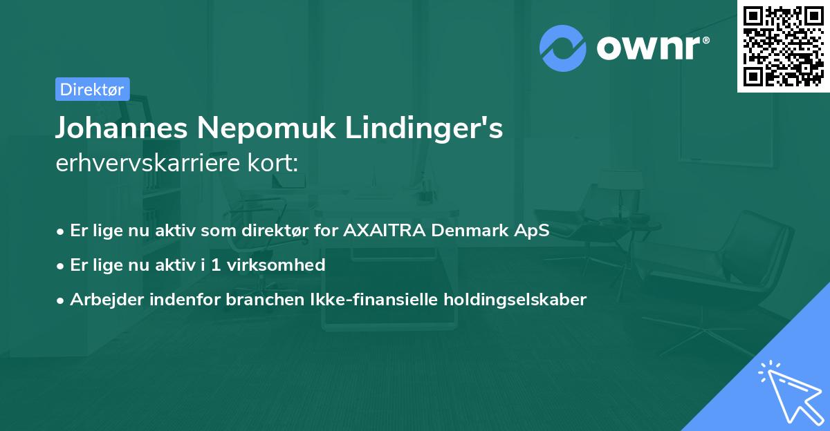 Johannes Nepomuk Lindinger's erhvervskarriere kort