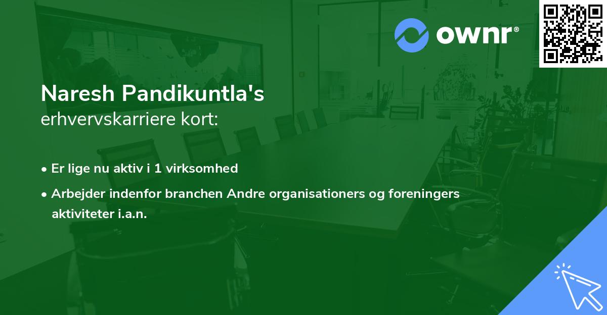 Naresh Pandikuntla's erhvervskarriere kort