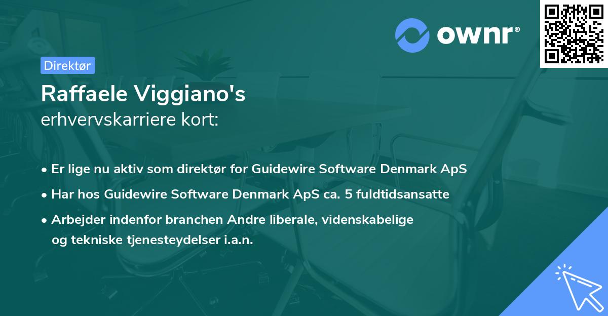 Raffaele Viggiano's erhvervskarriere kort