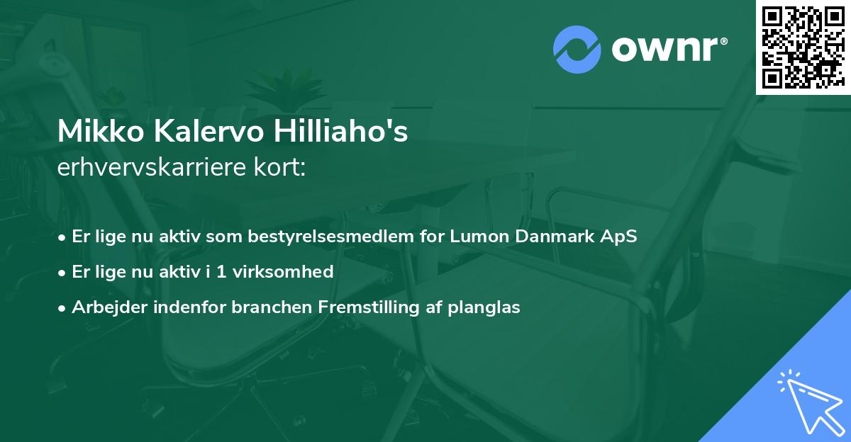 Mikko Kalervo Hilliaho's erhvervskarriere kort