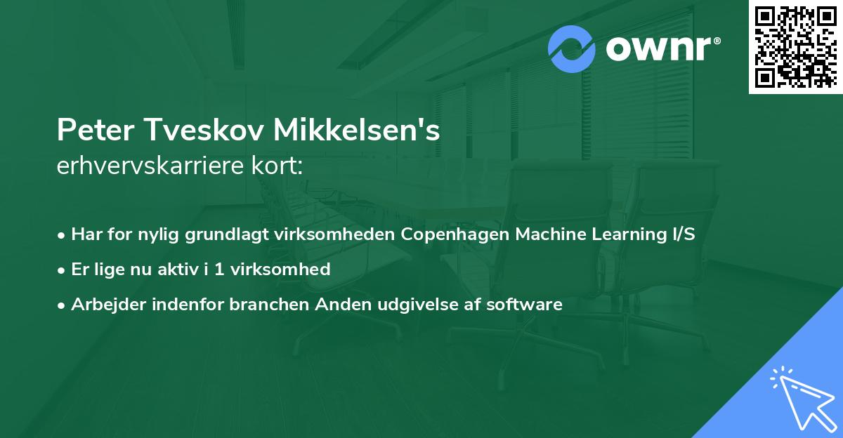 Peter Tveskov Mikkelsen's erhvervskarriere kort