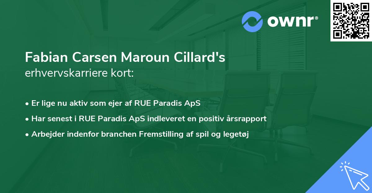 Fabian Carsen Maroun Cillard's erhvervskarriere kort