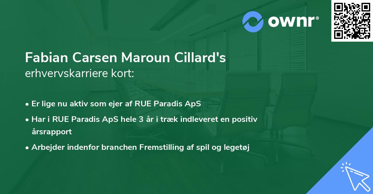 Fabian Carsen Maroun Cillard's erhvervskarriere kort