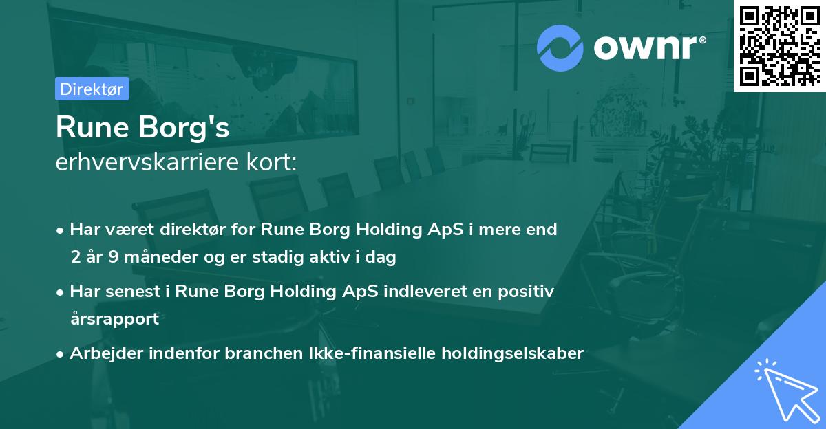 Rune Borg's erhvervskarriere kort