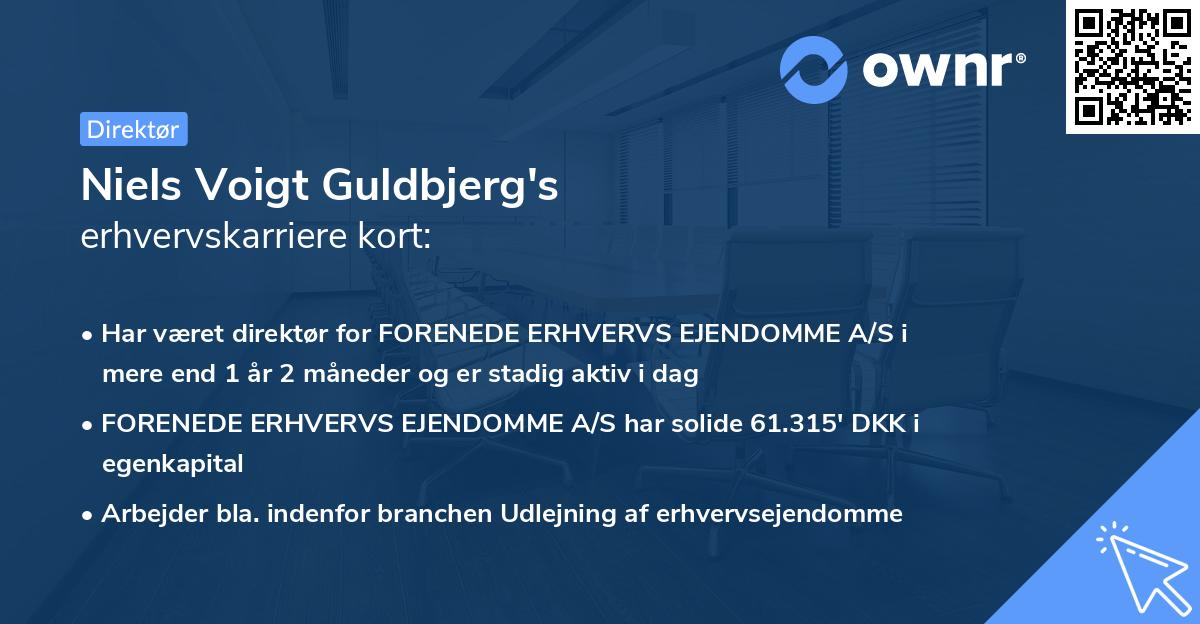 Niels Voigt Guldbjerg's erhvervskarriere kort