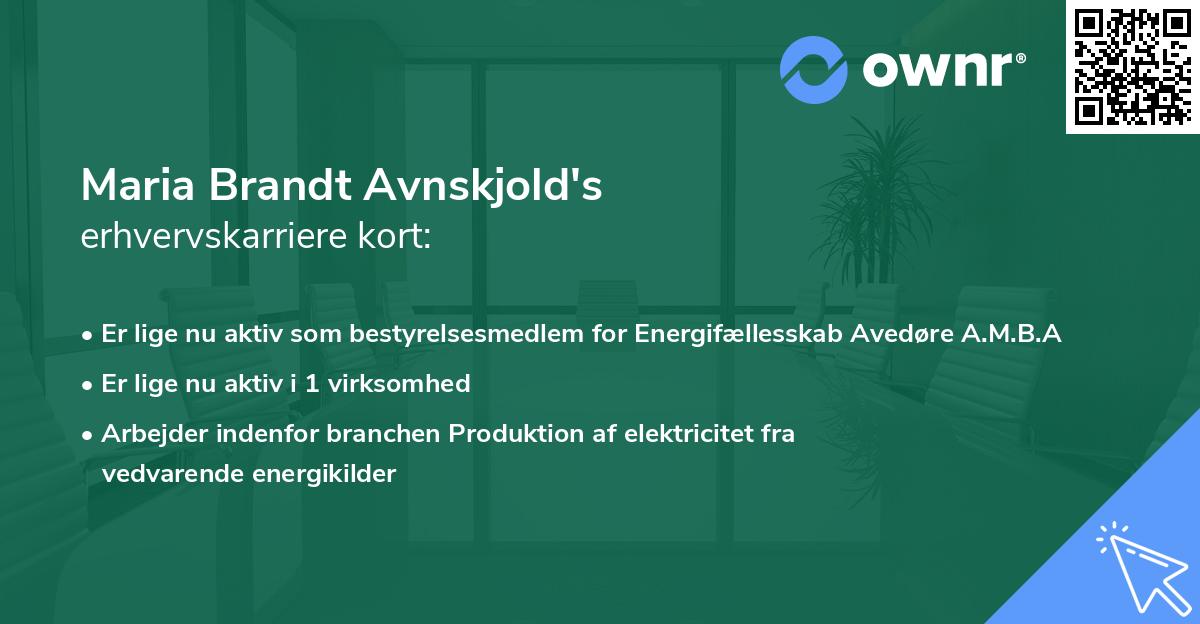 Maria Brandt Avnskjold's erhvervskarriere kort