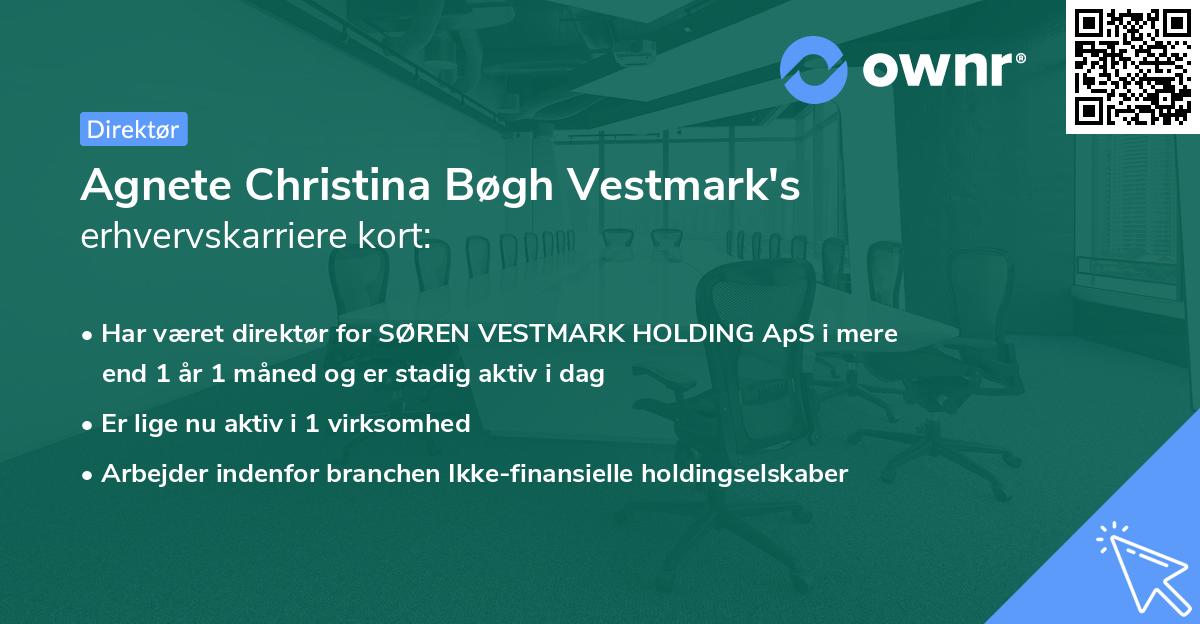 Agnete Christina Bøgh Vestmark's erhvervskarriere kort