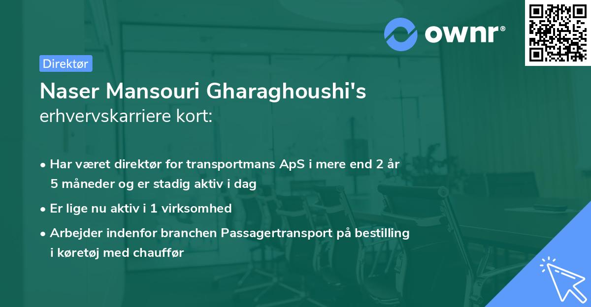 Naser Mansouri Gharaghoushi's erhvervskarriere kort