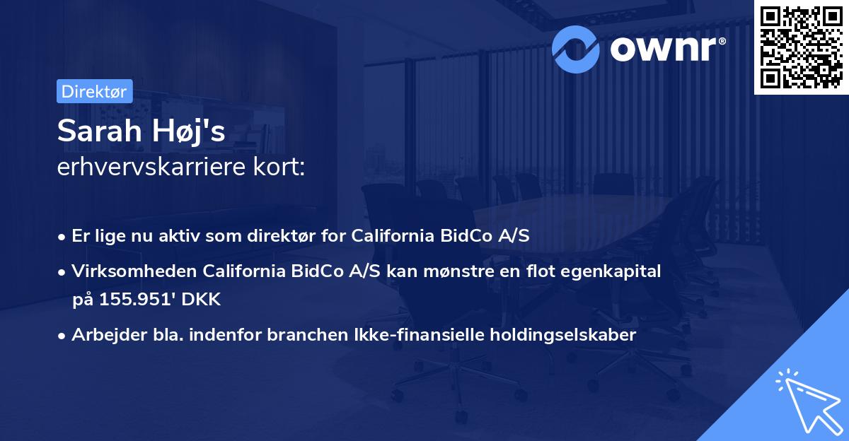 Sarah Høj's erhvervskarriere kort