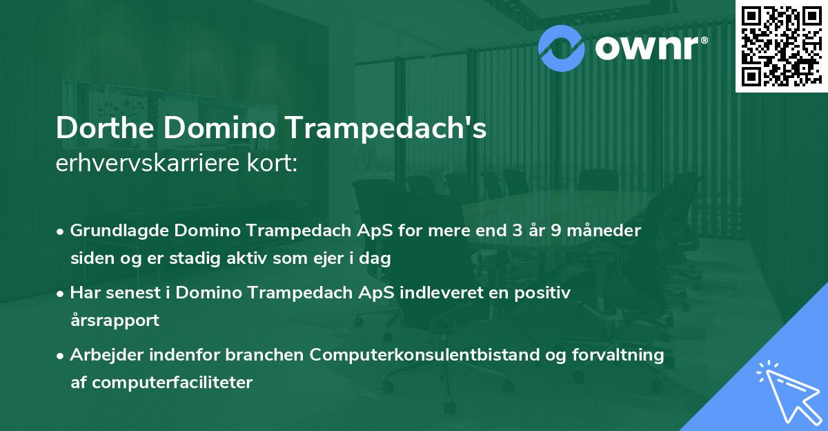 Dorthe Domino Trampedach's erhvervskarriere kort