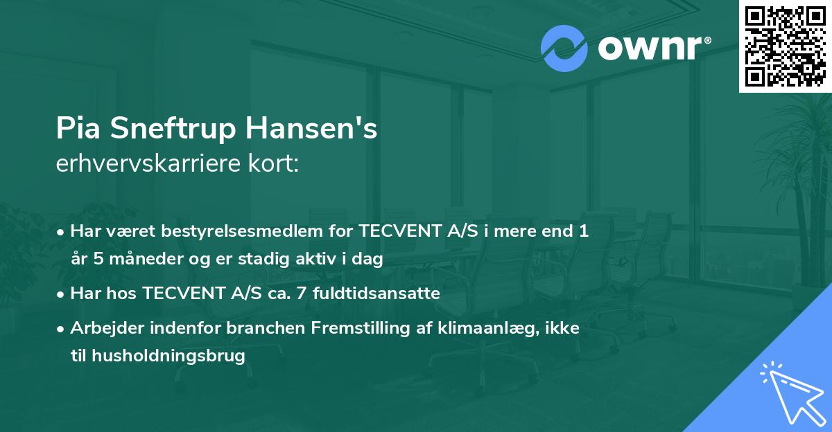 Pia Sneftrup Hansen's erhvervskarriere kort