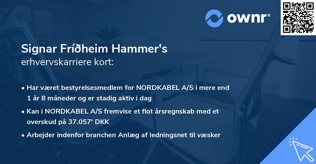 Signar Fríðheim Hammer's erhvervskarriere kort