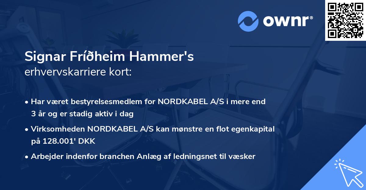 Signar Fríðheim Hammer's erhvervskarriere kort