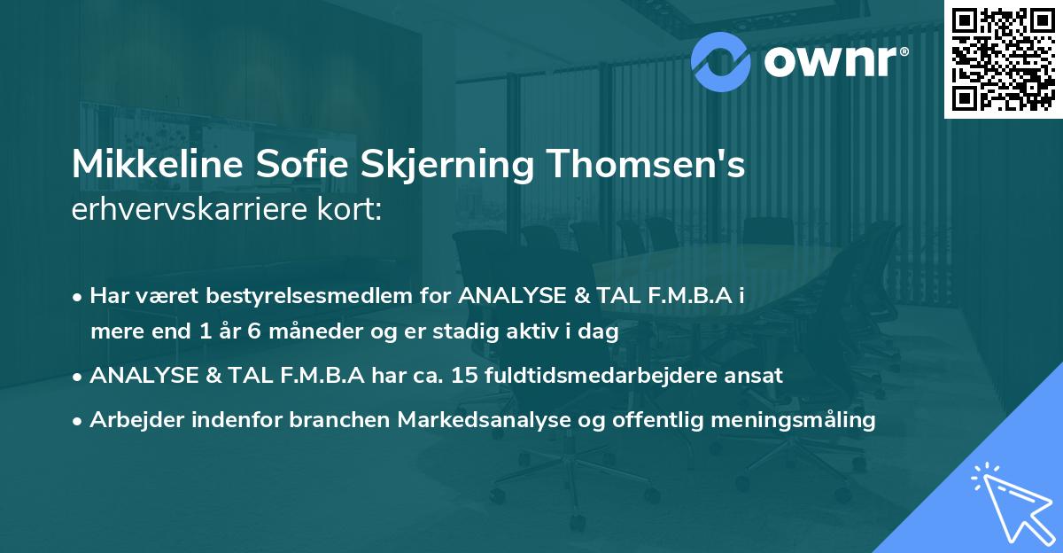 Mikkeline Sofie Skjerning Thomsen's erhvervskarriere kort