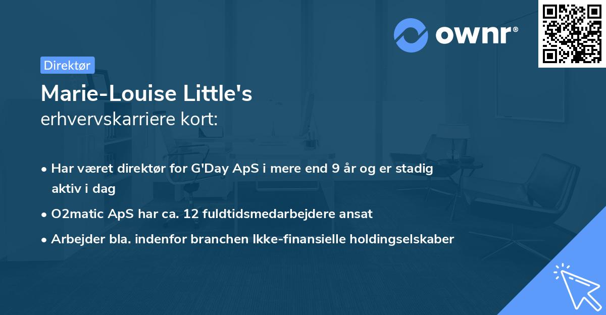 Marie-Louise Little's erhvervskarriere kort