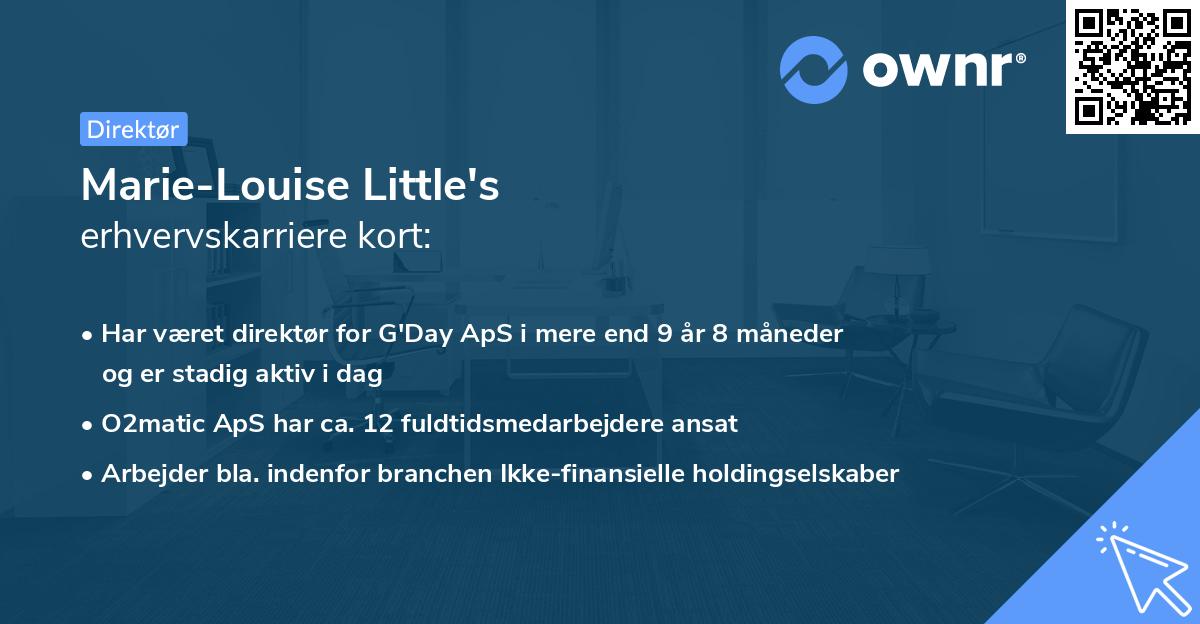 Marie-Louise Little's erhvervskarriere kort
