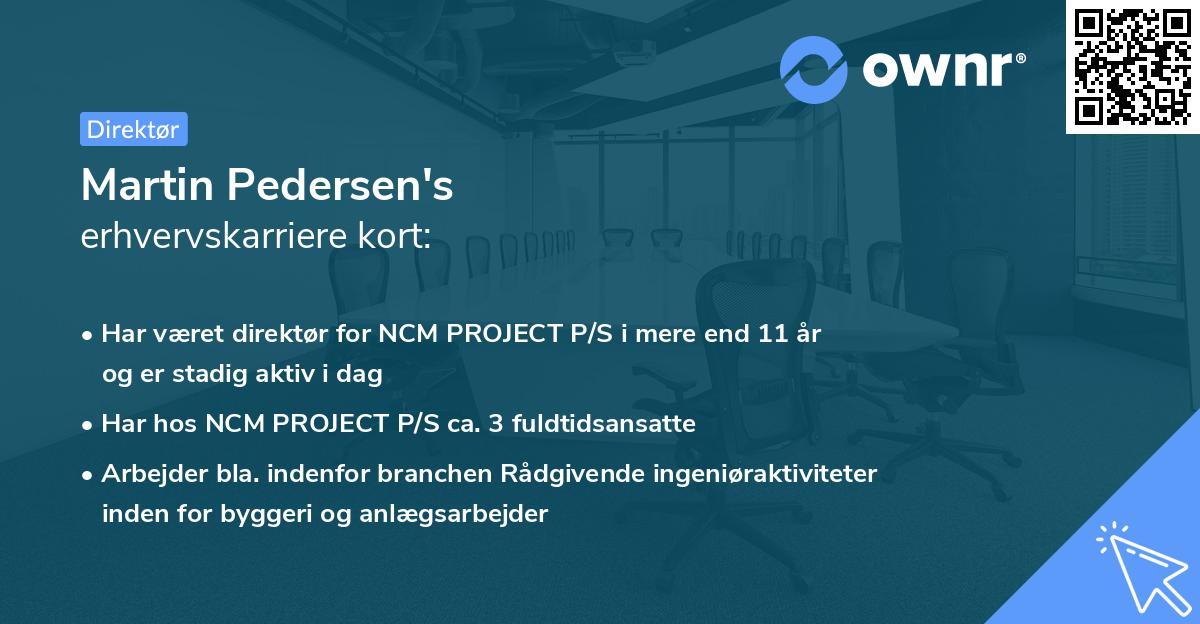 Martin Pedersen's erhvervskarriere kort