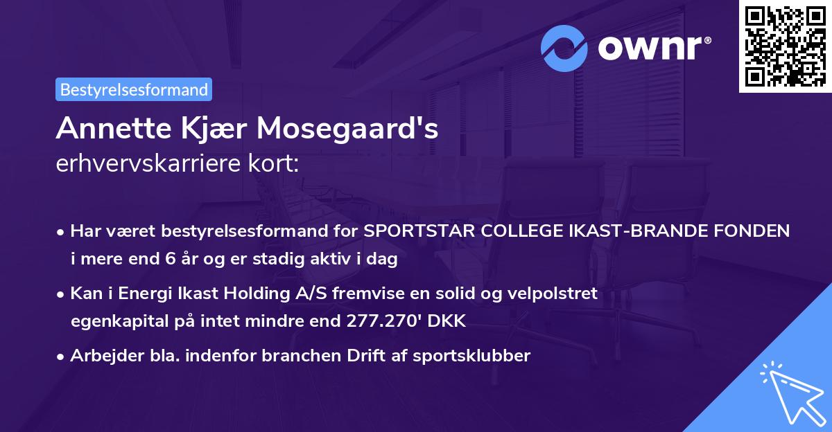 Annette Kjær Mosegaard's erhvervskarriere kort