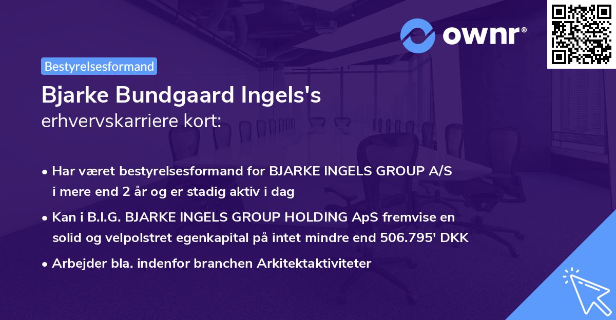 Bjarke Bundgaard Ingels's erhvervskarriere kort