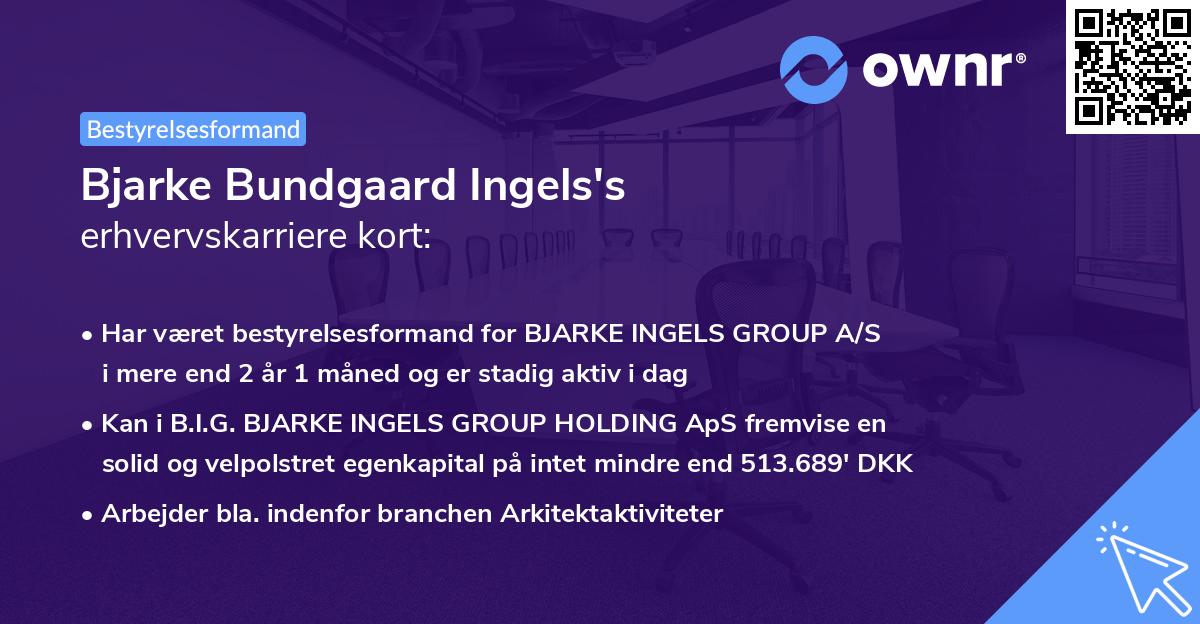 Bjarke Bundgaard Ingels's erhvervskarriere kort