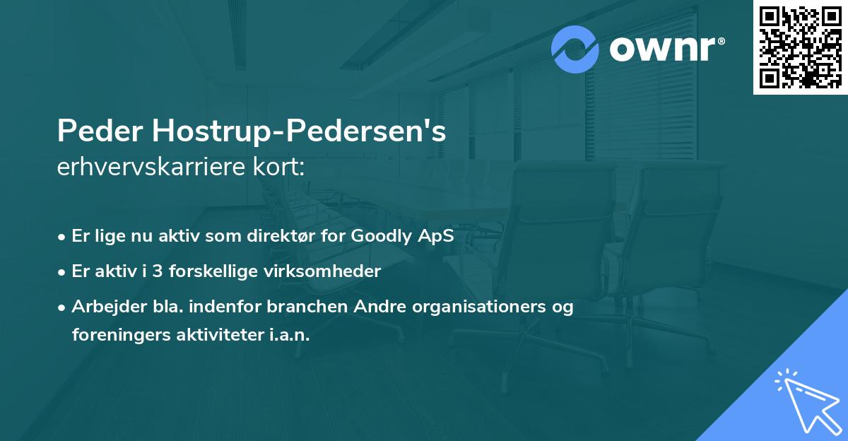Peder Hostrup-Pedersen's erhvervskarriere kort