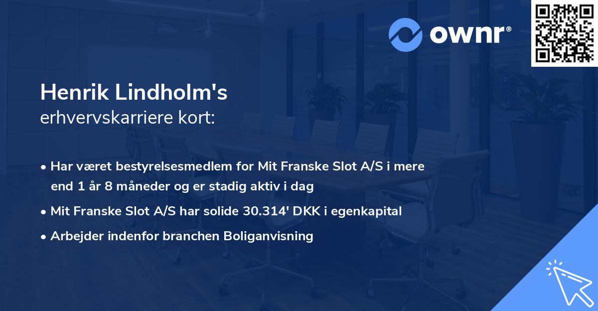Henrik Lindholm's erhvervskarriere kort