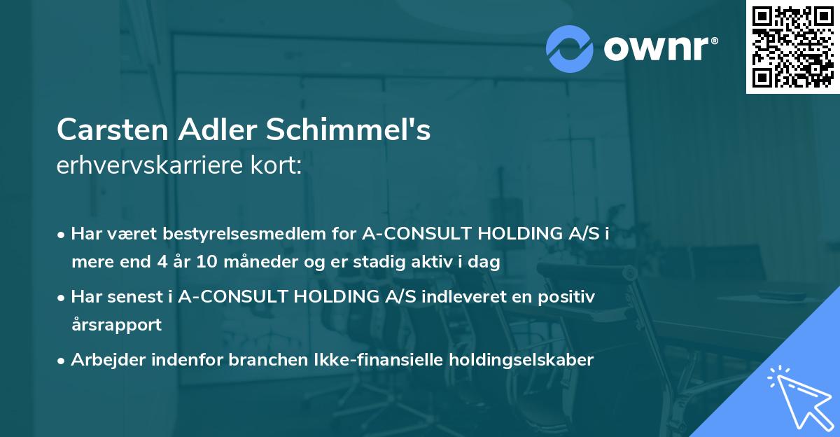 Carsten Adler Schimmel's erhvervskarriere kort