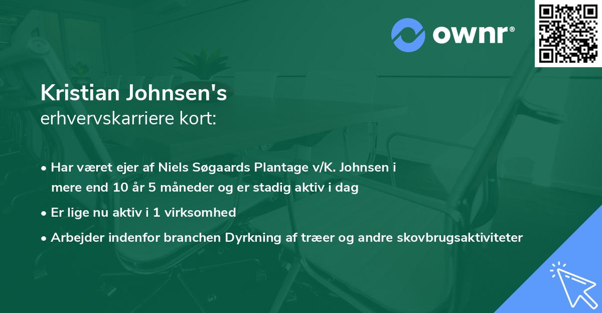 Kristian Johnsen's erhvervskarriere kort