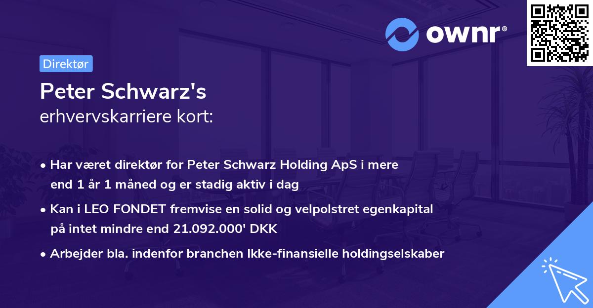 Peter Schwarz's erhvervskarriere kort