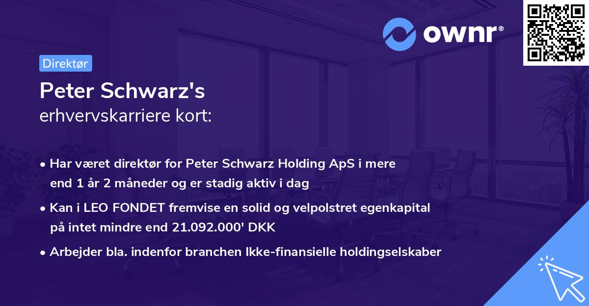Peter Schwarz's erhvervskarriere kort