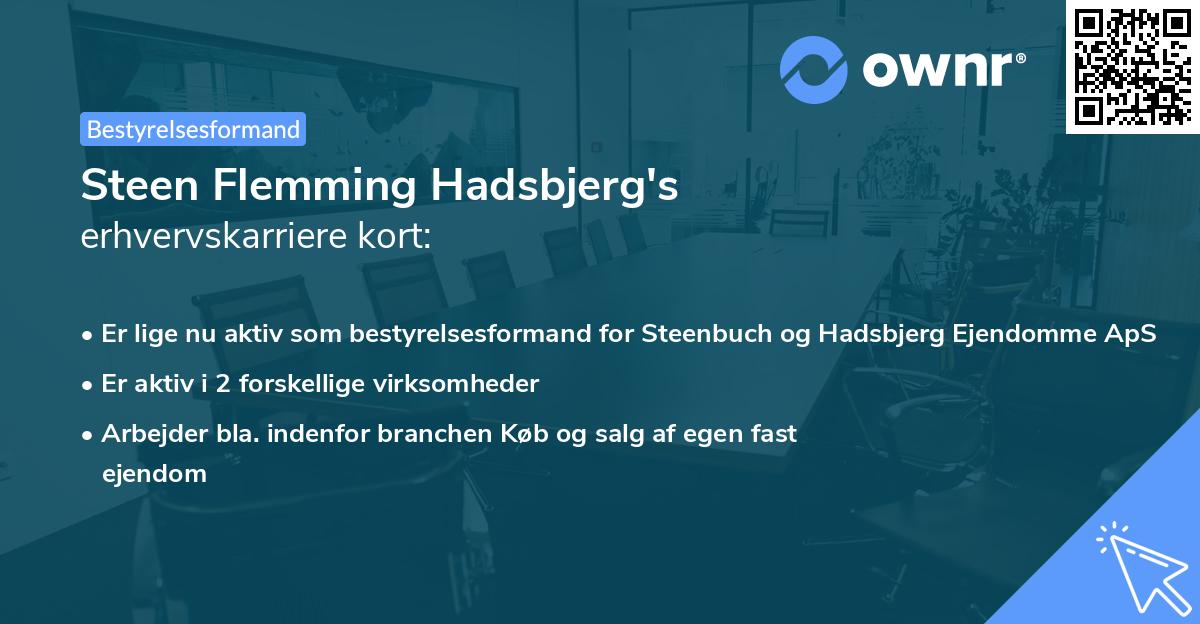 Steen Flemming Hadsbjerg's erhvervskarriere kort