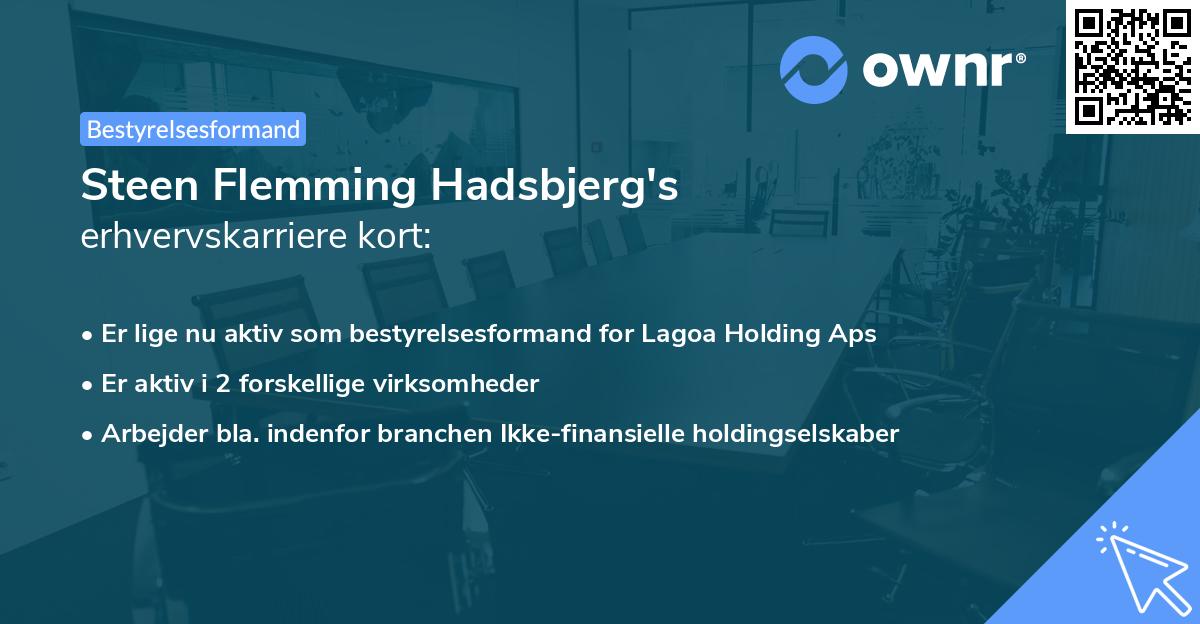 Steen Flemming Hadsbjerg's erhvervskarriere kort
