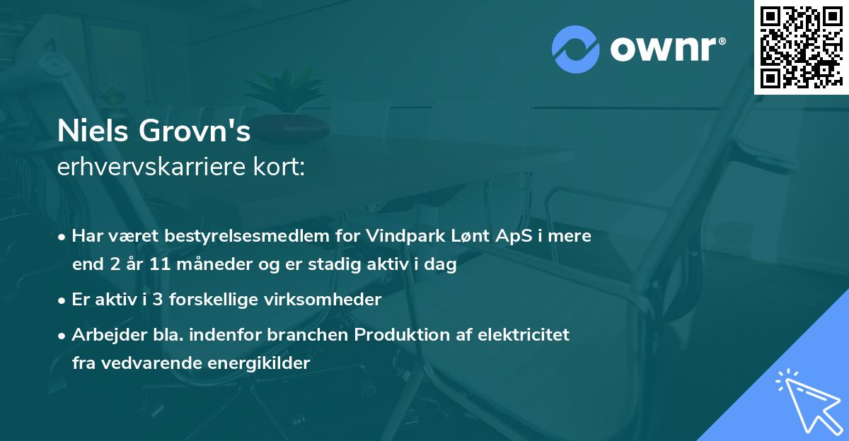 Niels Grovn's erhvervskarriere kort