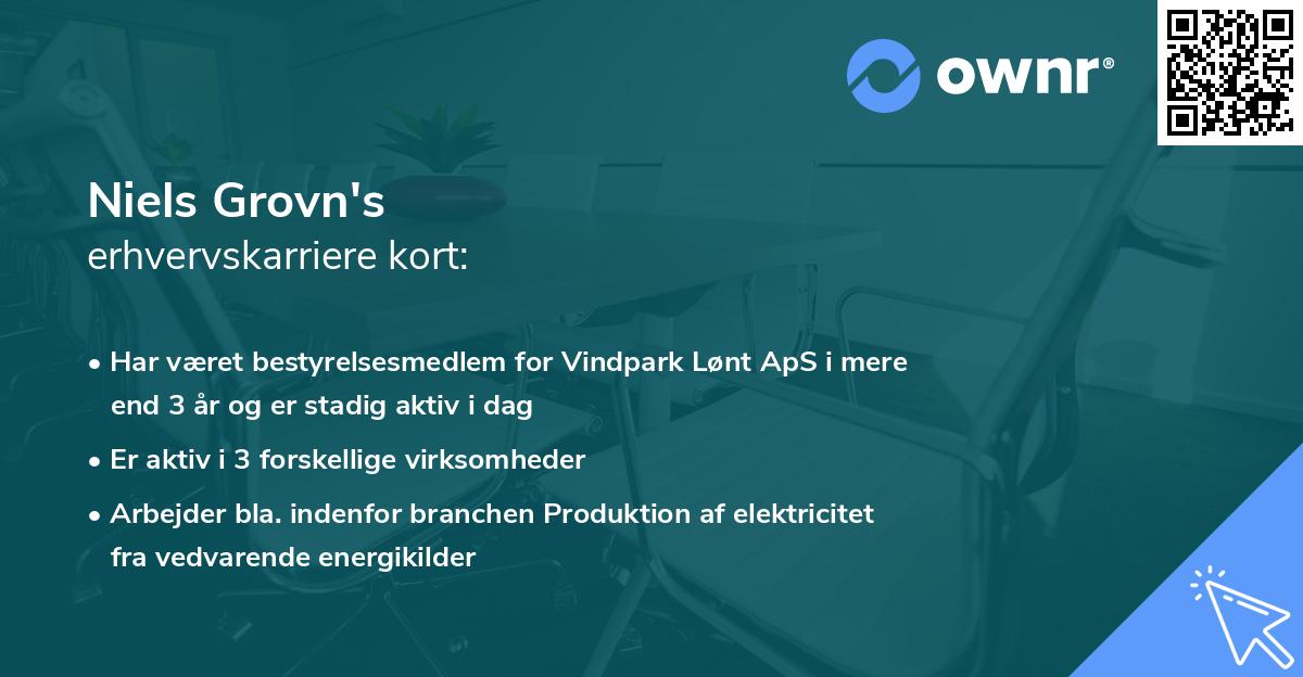 Niels Grovn's erhvervskarriere kort