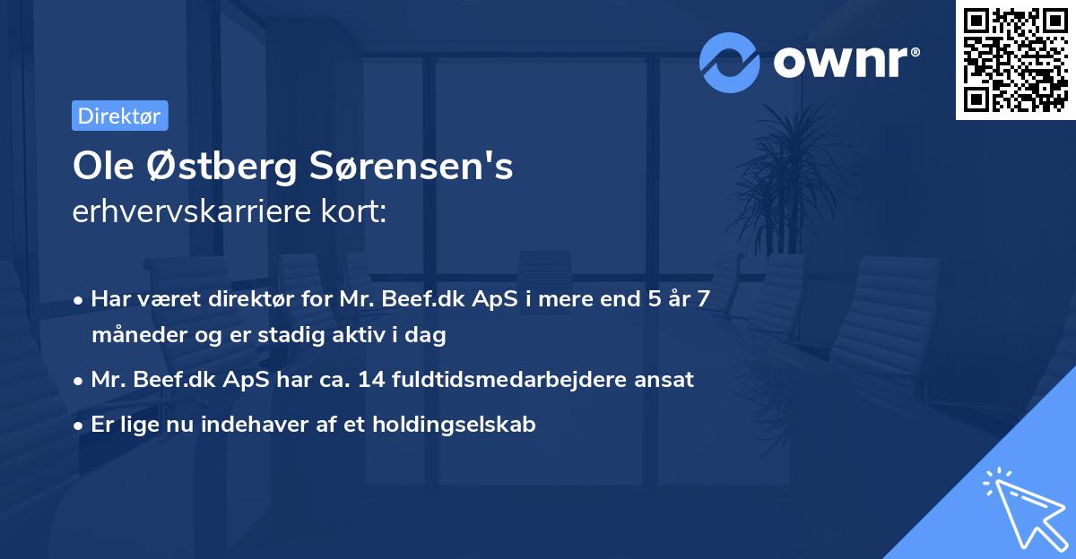 Ole Østberg Sørensen's erhvervskarriere kort