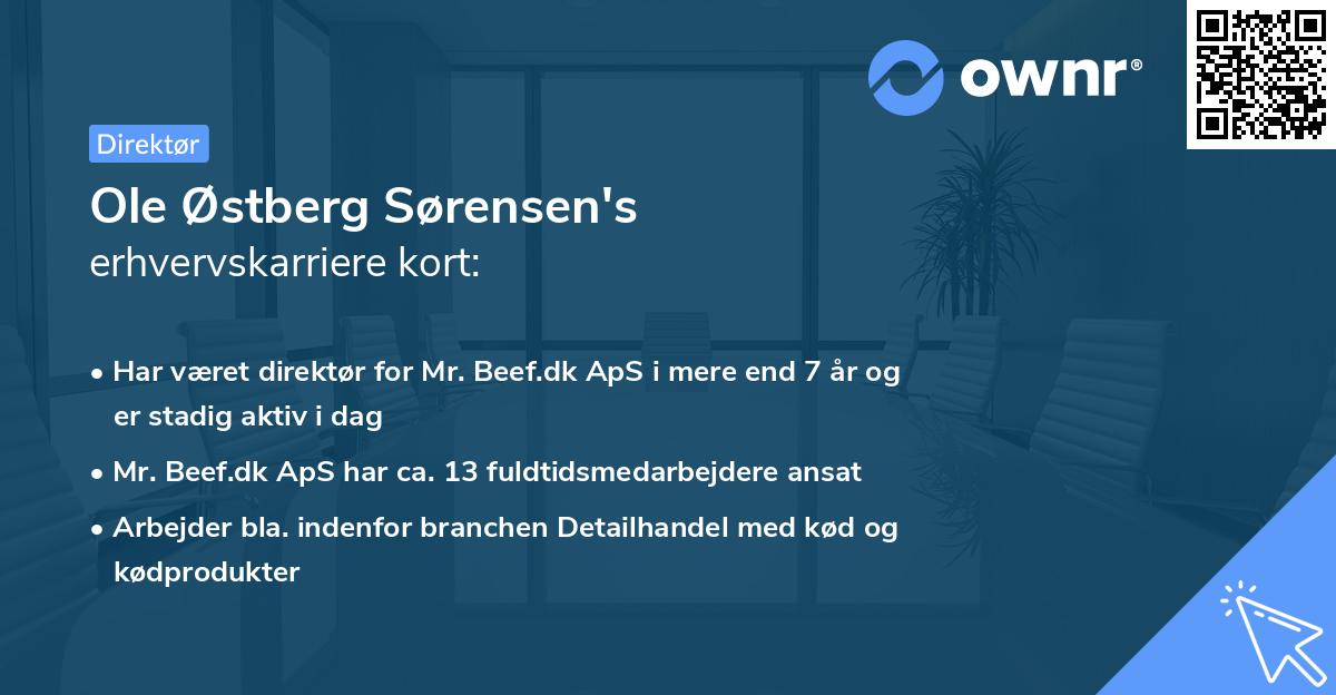 Ole Østberg Sørensen's erhvervskarriere kort