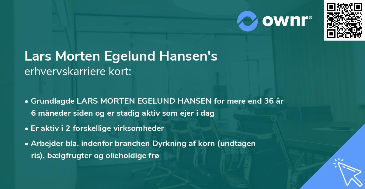 Lars Morten Egelund Hansen's erhvervskarriere kort