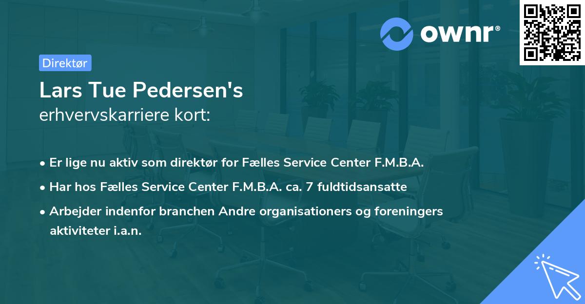 Lars Tue Pedersen's erhvervskarriere kort