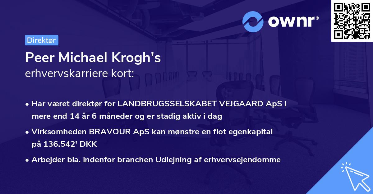 Peer Michael Krogh's erhvervskarriere kort