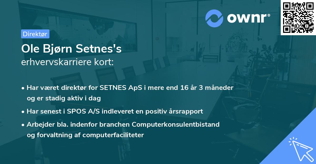 Ole Bjørn Setnes's erhvervskarriere kort
