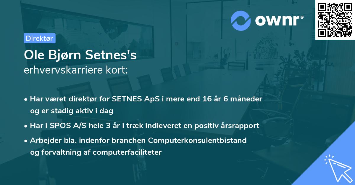 Ole Bjørn Setnes's erhvervskarriere kort