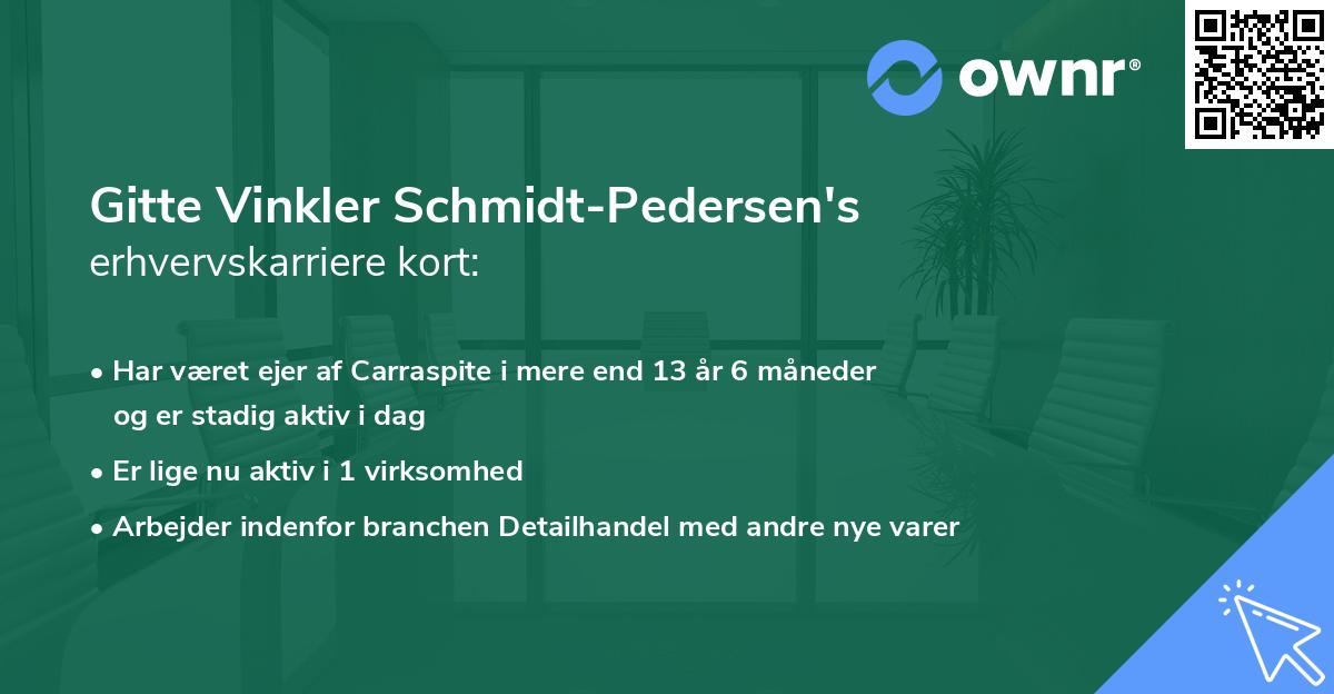 Gitte Vinkler Schmidt-Pedersen's erhvervskarriere kort