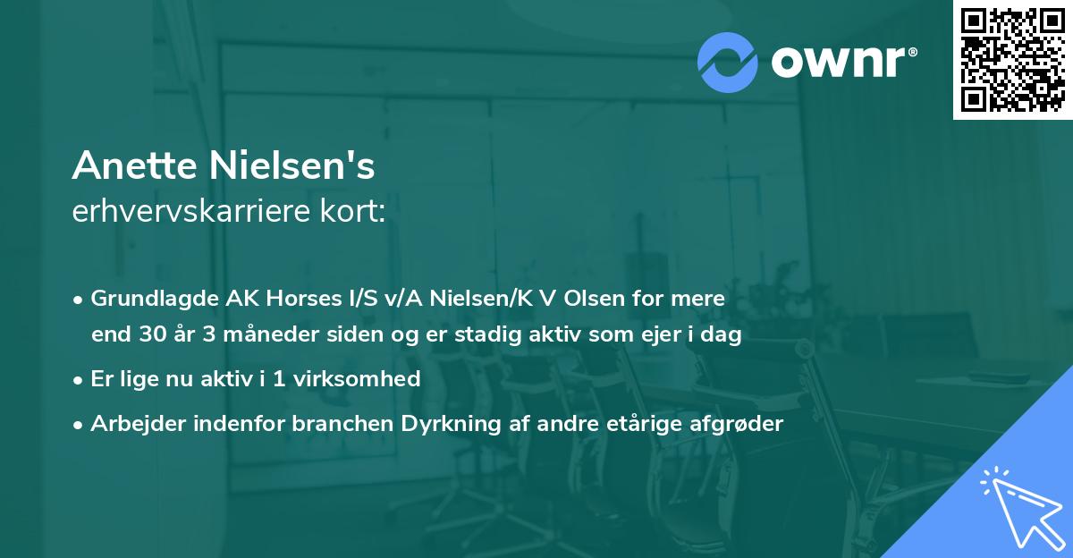 Anette Nielsen's erhvervskarriere kort